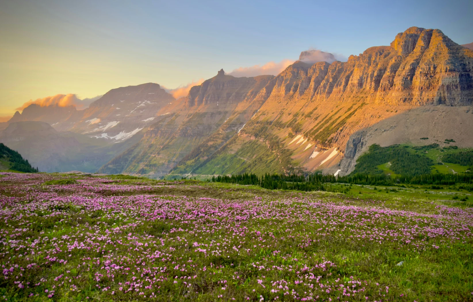 Image of Valley of Flowers Trek
